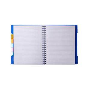 5-SUBJECTS NOTE BOOK B-5 (300 pages,dividers)